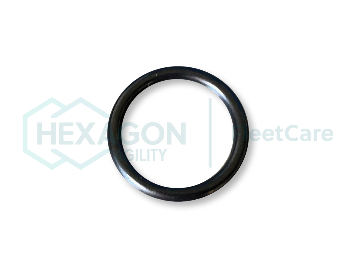 O-RING 6