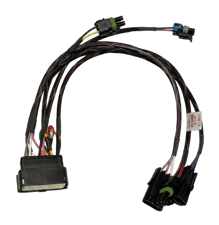 Wire Harness, 2 Reed Switches